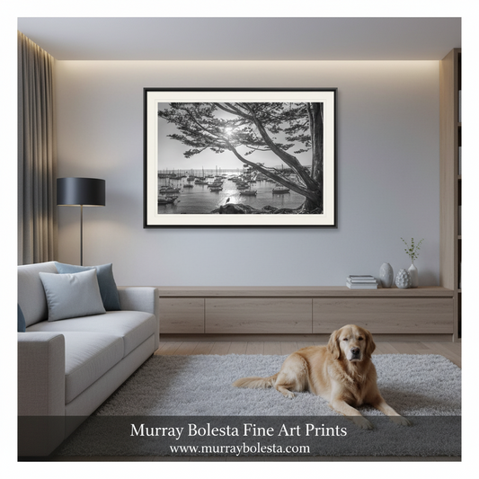 Monterey Bay Sailboat Yacht Harbor Art Print in Black and White
