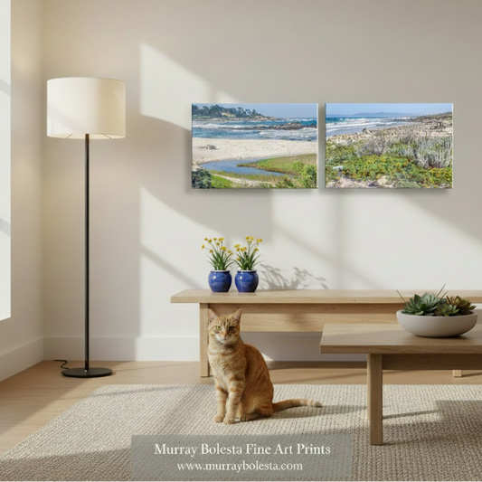 Monterey Peninsula! A two-panel framed wall art print showing a coastal landscape with sand, water, and vegetation, displayed above a wooden bench in a bright room with a cat sitting on the floor. The print is by Murray Boleta Fine Art Prints, as shown in the watermark at the bottom.