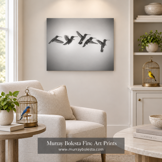 Hummingbird artwork on a frameless canvas in a den with two colorful birds by Murray Bolesta