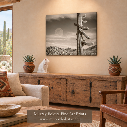 Southwest room mockup with a white kitten grooming on the credenza. Desert art by Murray Bolesta