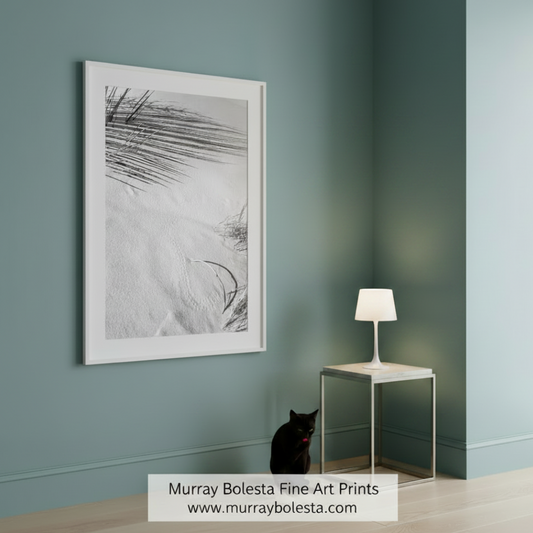 Black and white abstract art print of sand and shadows by Murray Bolesta