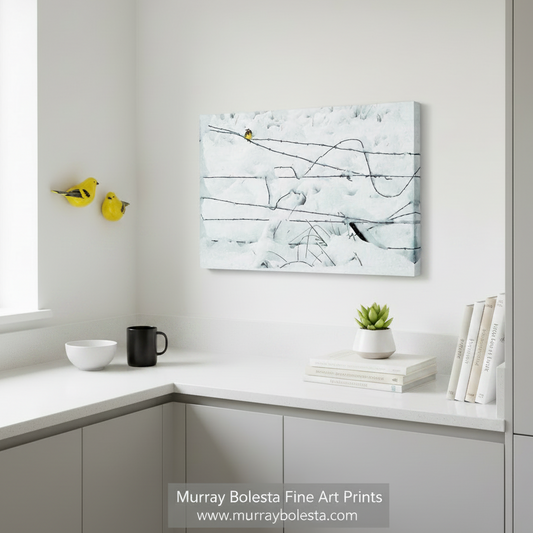 A small yellow bird perched on a wire fence covered in snow. Winter Bird on a Wire Fence Fine Art Nature Print by Murray Bolesta at Modoc County California