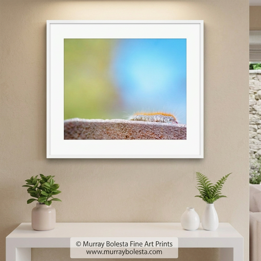 Caterpillar insect art, cute print by Murray Bolesta