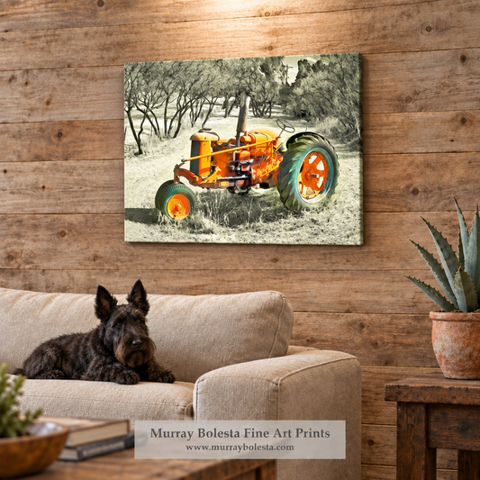 Tractor art in Nogales Arizona by Murray Bolesta!