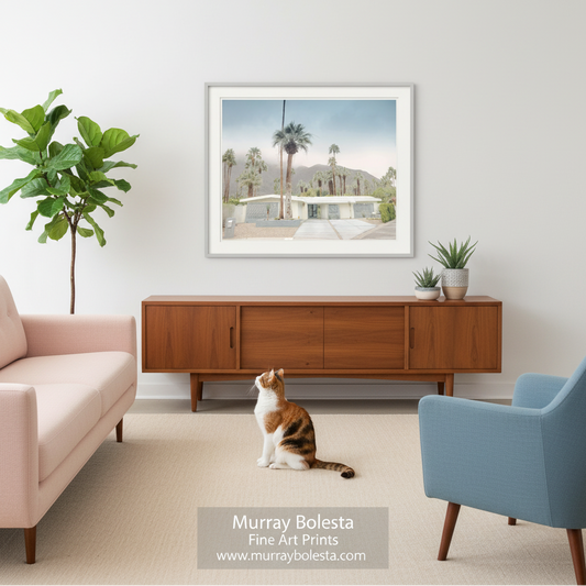 Palm Springs California by Murray Bolesta. A framed art print depicting a mid-century modern house with palm trees, displayed on a white wall in a styled living room above a wooden credenza. A calico cat sits on the carpet in front of the console, with a pink sofa on the left and a blue armchair on the right.