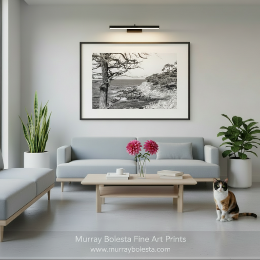 17 Mile Drive Monterey Peninsula. A framed black and white landscape art print by Murray Bolesta hangs on a light gray wall above a modern light blue sofa in a bright, minimalist living room. A cat sits on the floor to the right, and potted plants are visible on both sides.