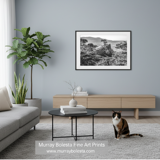 Pebble Beach California! A framed black and white landscape art print by Murray Bolesta hangs on a light gray wall in a modern living room setting with a sofa, coffee table, plants, and a cat.