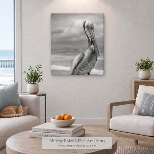 Pelican bird art at seaside by Murray Bolesta! Oceanside, California.