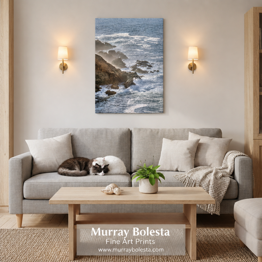 Point Reyes art print by Murray Bolesta!