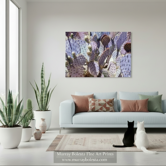 Blue prickly pear cactus by Murray Bolesta! A framed wall art print depicting purple and lavender prickly pear cacti is displayed on a light gray wall above a modern white sofa in a styled living room. Two cats are sitting on the floor in front of the couch, and several potted cacti and plants are arranged on the left side of the room.