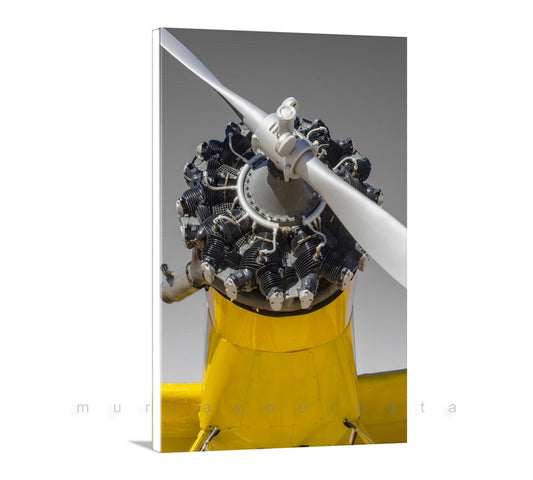 Crop Duster Airplane Art Vintage Aviation Decor Pilot Gift Photo