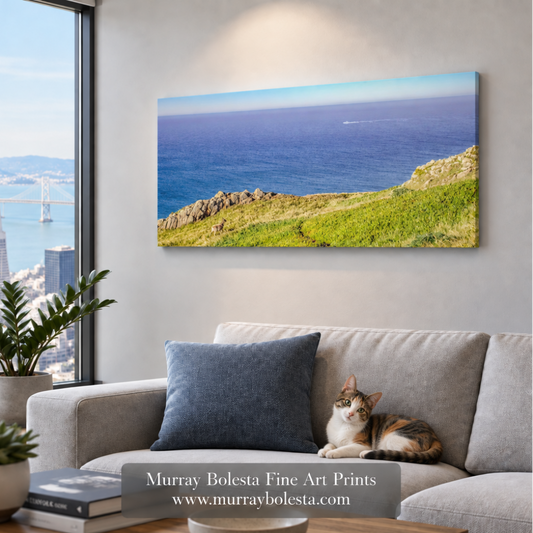 Point Reyes pano art by Murray Bolesta