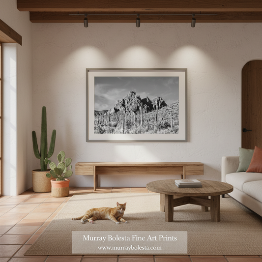 A black and white framed art print of a desert mountain landscape with saguaro cacti, displayed on a textured white wall in a modern, warm-toned living room with a cat on the rug below.