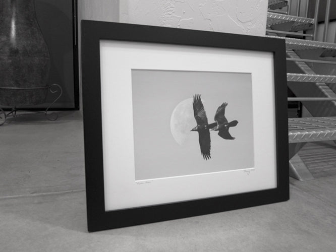 Flying Raven Picture with Desert Moon in Black and White