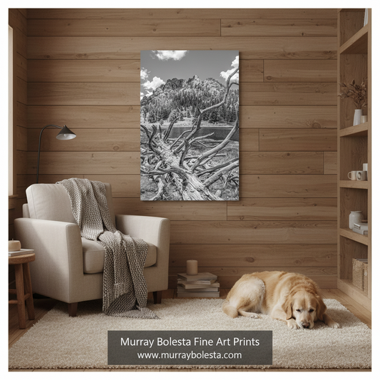 Colorado Lily Lake Art - Black & White Rocky Mountain Print