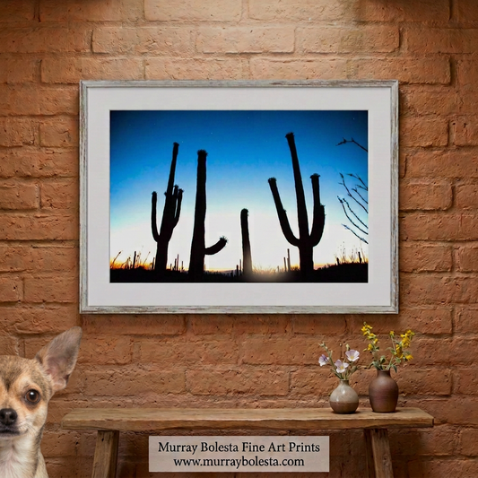 Arizona saguaro cactus sunset by Murray Bolesta