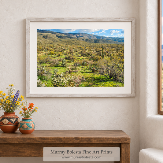 Saguaro National Park Tucson Arizona landscape art by Murray Bolesta in Spring!