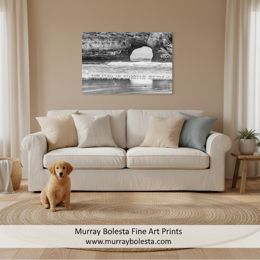A black and white fine art print of a coastal rock arch over the ocean is displayed on a beige wall above a cream-colored sofa in a styled living room. A small golden retriever sits on a woven rug in the foreground.