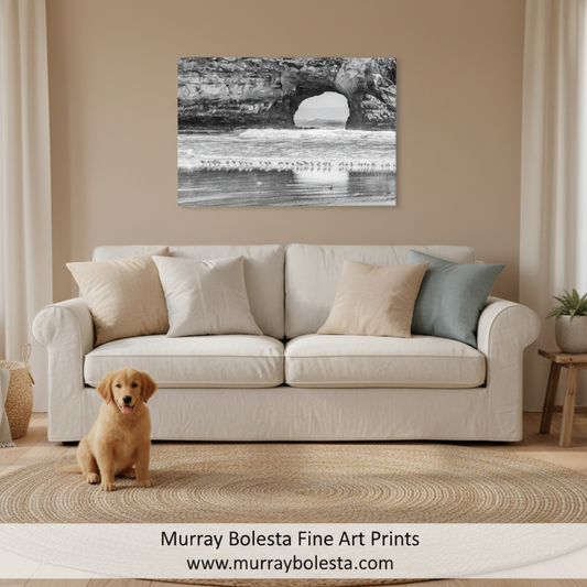 A black and white fine art print of a coastal rock arch over the ocean is displayed on a beige wall above a cream-colored sofa in a styled living room. A small golden retriever sits on a woven rug in the foreground.