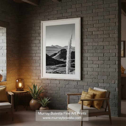 Black and White Santa Rita Mountains Artwork with Sotol Agave for Sale Santa Rita Mountains Art – Black & White Sotol Agave Print by Murray Bolesta