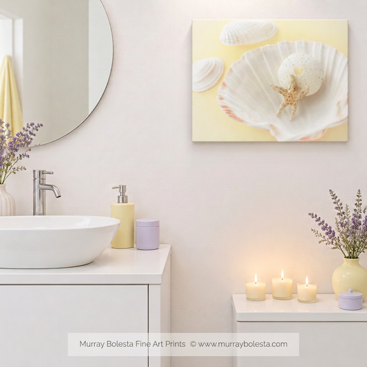 Seashell Still Life Art Print by Murray Bolesta