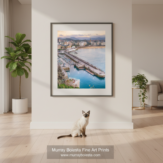 San Sebastian Spain by Murray Bolesta! A framed art print of a coastal harbor city with blue water and mountains hangs on a light beige wall in a modern living room. A white cat sits on the wooden floor below the frame.