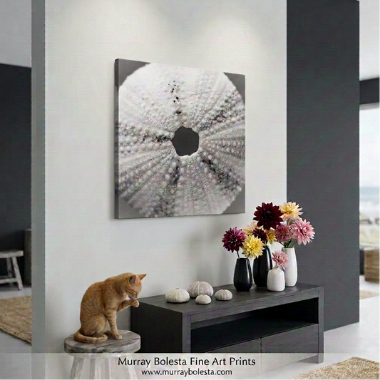 Sea Urchin Seashell art by Murray Bolesta