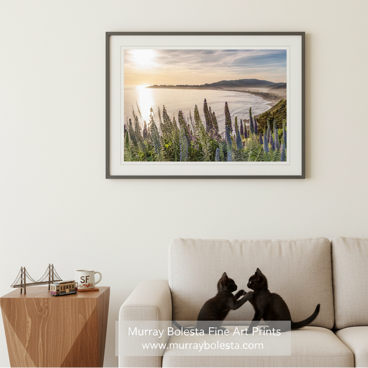 Stinson Beach California by Murray Bolesta! A framed landscape art print of a coastal sunset with sea oats hangs on a light beige wall above a cream sofa with two black cats sitting on it. A wooden side table on the left holds small decorative objects, including a miniature bridge model and a mug.