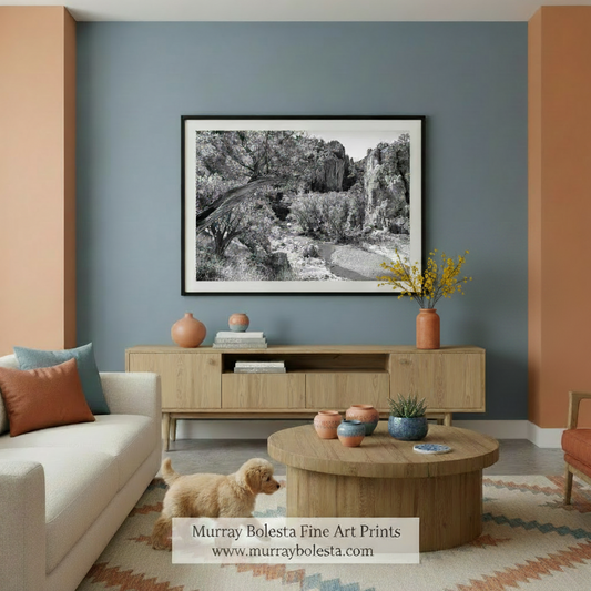 A black and white photograph depicting a rocky landscape with a river or stream running through it, surrounded by trees and vegetation. Sycamore Canyon Arizona border By Murray Bolesta
