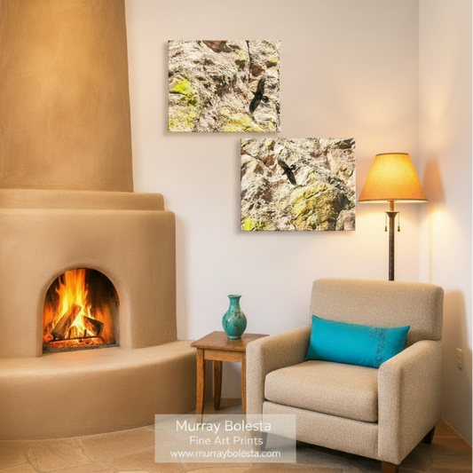 The image is a collage of two square photographs depicting birds perched on rocky surfaces with patches of green moss. Sycamore Canyon raven birds by Murray Bolesta