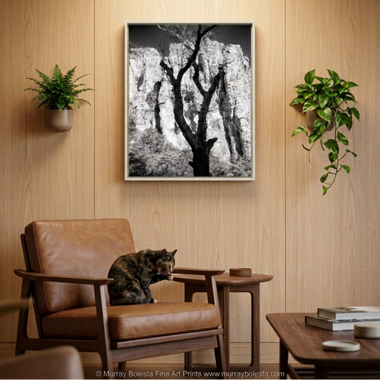 Sycamore Canyon borderland Arizona USA in Black & White, art print by Murray Bolesta