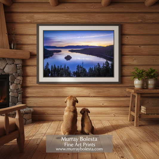 Lake Tahoe fine art print by Murray Bolesta! A framed art print of a scenic lake landscape at sunset hangs on a rustic wood-paneled wall above two dogs sitting and looking at the artwork. The print shows a winding river or lake with a small island, evergreen trees, and a colorful sky.