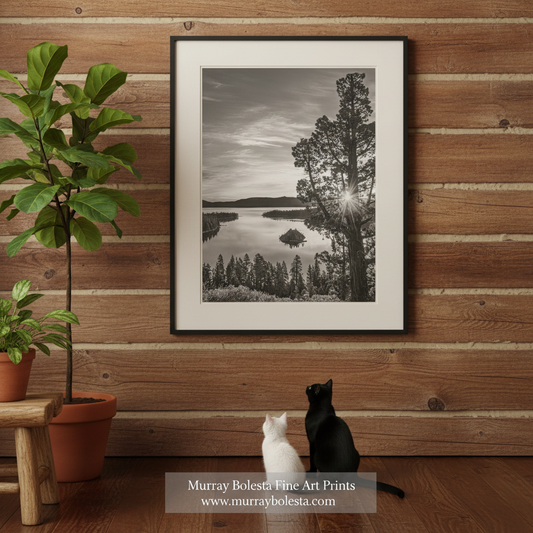 Lake Tahoe fine art Photography by Murray Bolesta. A serene black and white landscape featuring a lake surrounded by trees and mountains, with the sun's rays shining through the branches.