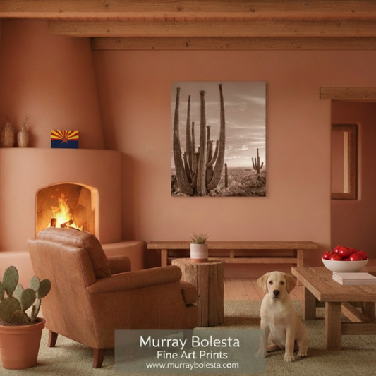 A framed black and white cactus art print hangs on a terracotta-colored wall in a rustic, modern living room with a leather armchair, wooden coffee table, and a yellow Labrador retriever sitting on the floor. A watermark at the bottom reads 'Murray Bolesta Fine Art Prints'.