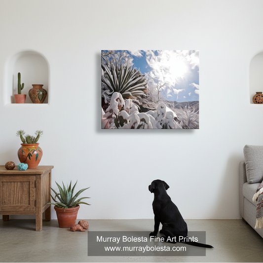 Agave winter art! A black dog sits on a light wood floor in a modern living room, looking up at a square canvas wall art print depicting snow-covered yucca plants under a bright blue sky with the sun shining. A watermark at the bottom reads 'Murray Bolesta Fine Art Prints"