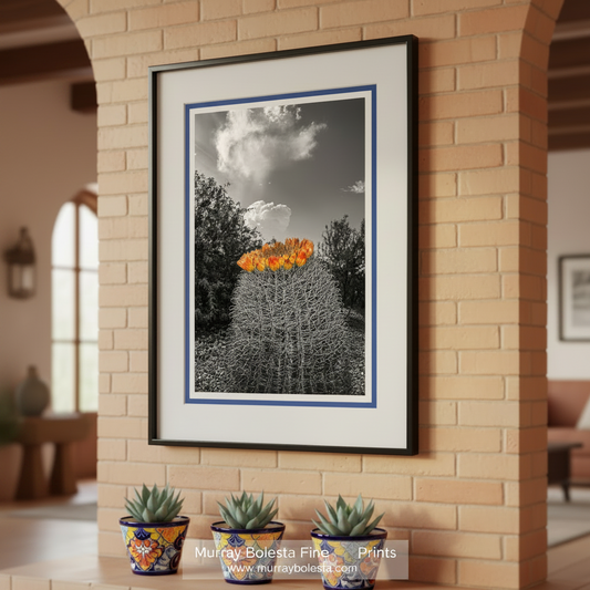 A striking black and white image of a cactus with vibrant orange flowers blooming on top, set against a cloudy sky. Desert Sky Art Print with Barrel Cactus | Unique Southwest Decor by Murray Bolesta