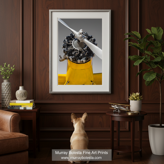 Crop Duster Airplane Art Vintage Aviation Decor Pilot Gift Photo by Murray Bolesta!