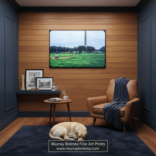A framed art print depicting a Washington Square Park scene with the Washington Monument is displayed on a wood-paneled wall in a modern living room setting with a brown leather armchair, a small wooden side table, and a sleeping golden retriever dog on a dark blue rug. A watermark at the bottom reads 'Murray Bolesta Fine Art Prints'.