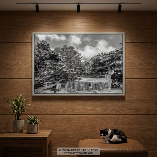 Whalers Cabin Point Lobos California fine art print in black & white by Murray Bolesta.