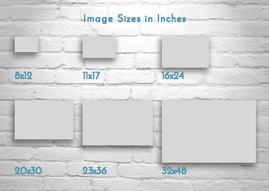 Black and White Modern Art Print on Framed Canvas