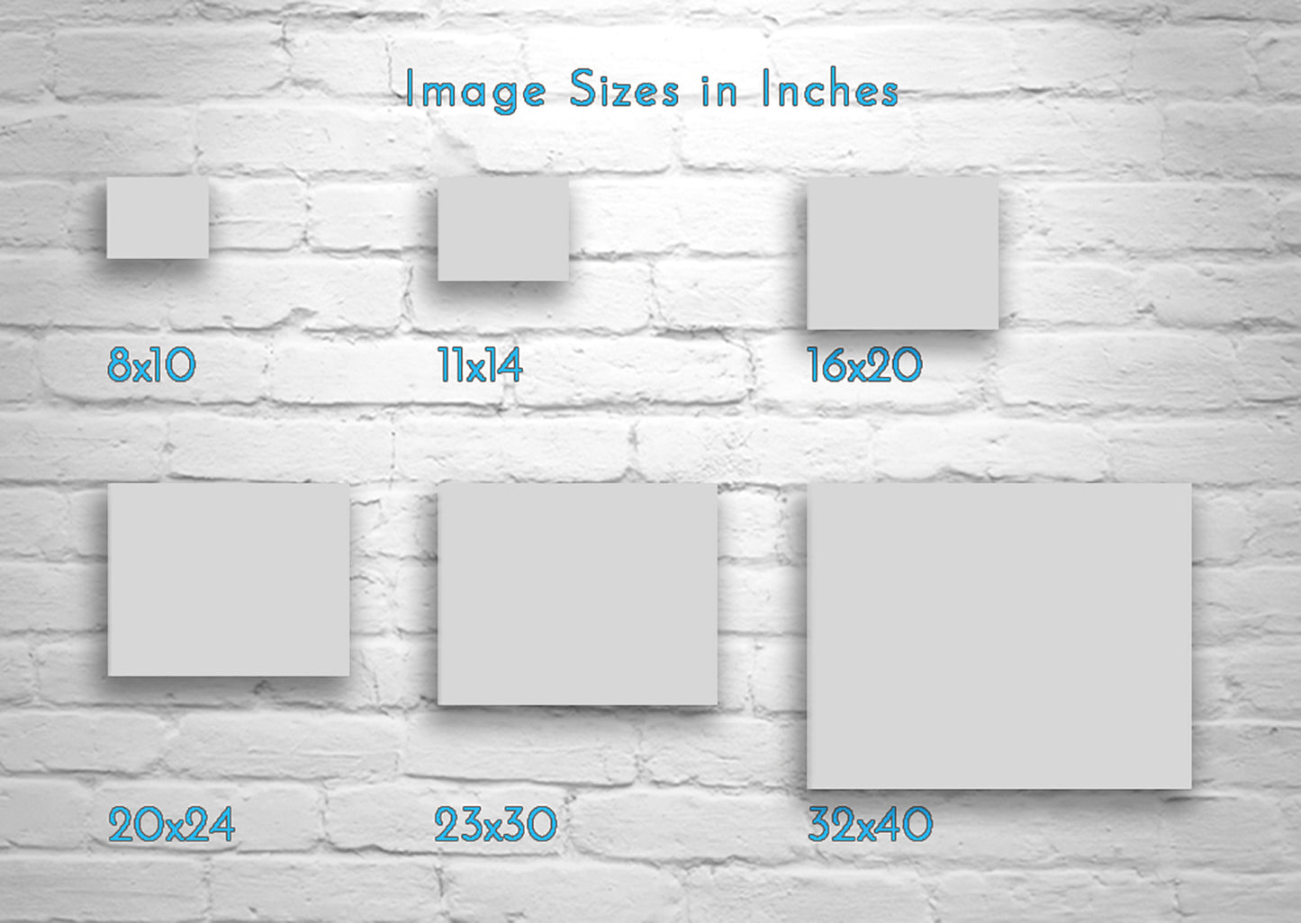 Wild Horse Art Print | San Rafael Valley Equestrian Wall Decor