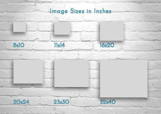 Madera Canyon AZ Mountain Creek Fine Art Water Photograph in B&W