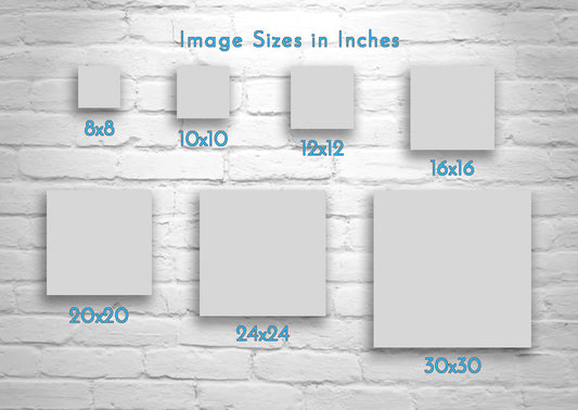 Water Lily Nature Photography Print at Balboa Park San Diego California