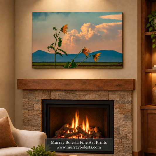 Stormy Sky & Wild Sunflower artwork at tule lake by Murray Bolesta.