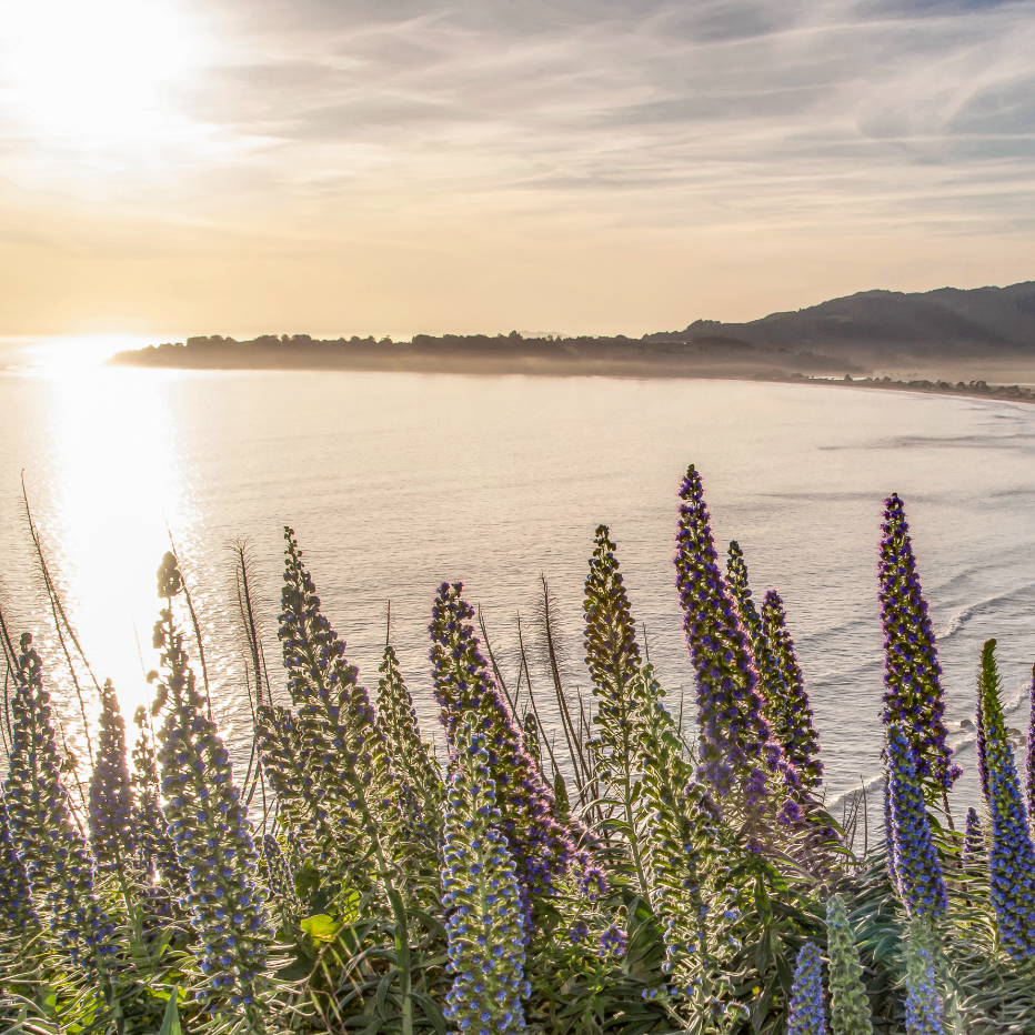 Stinson Beach Prints – Beautiful Marin County California Wall Art