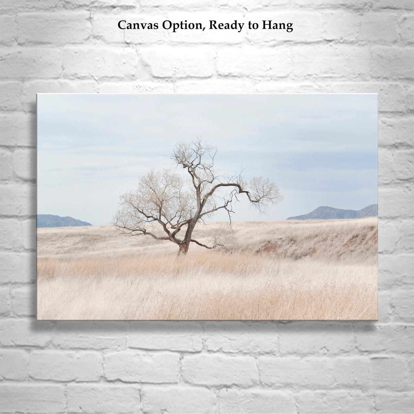 Landscape Fine Art Print of Southwest Prairie Grasslands