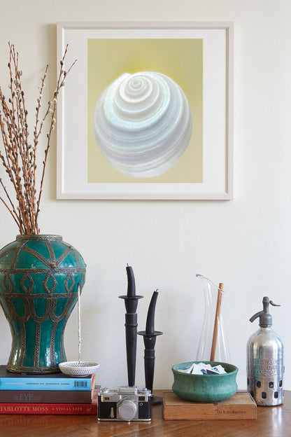 Seashell Wall Decor | Elegant Bathroom Wall Art on Framed Canvas