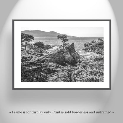 Lone Cypress Carmel by the Sea Art at Pebble Beach California