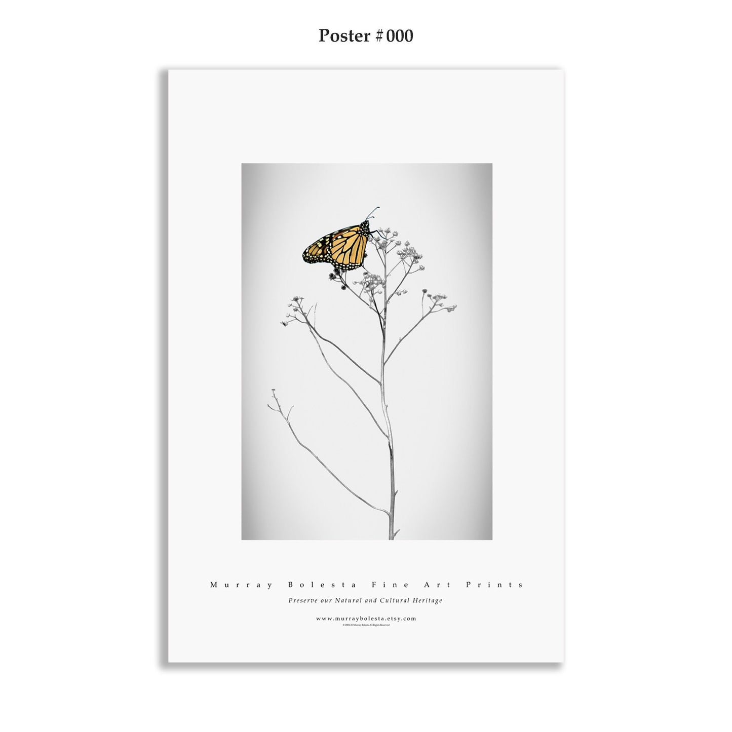Fine Art Photography Posters by Murray Bolesta