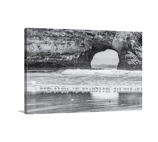 Santa Cruz California Beach Natural Bridge Sea Arch Print with Seabirds